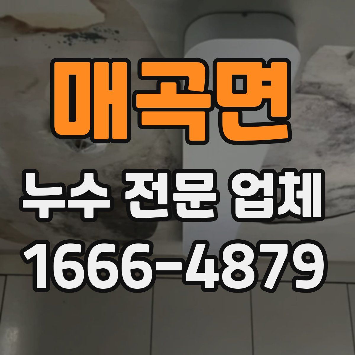 매곡면 누수 전문 업체