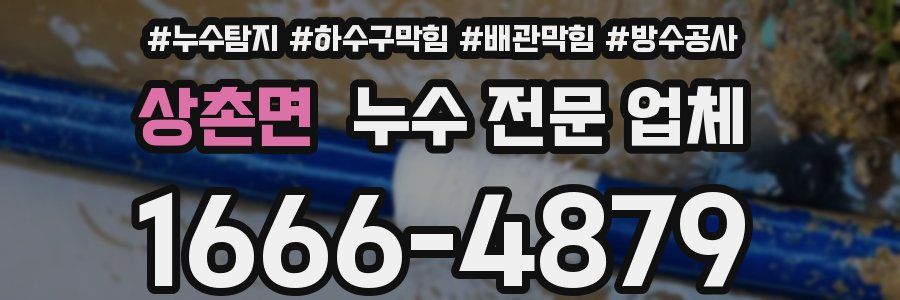 상촌면 누수 전문 업체