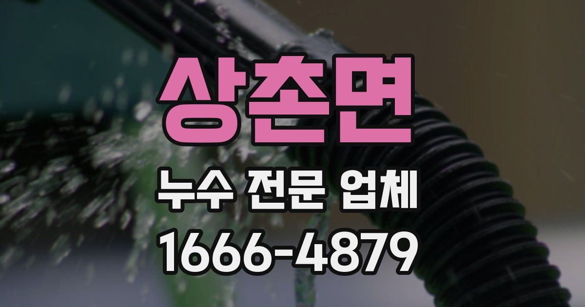 상촌면 누수 전문 업체
