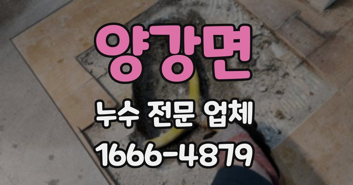 양강면 누수 전문 업체
