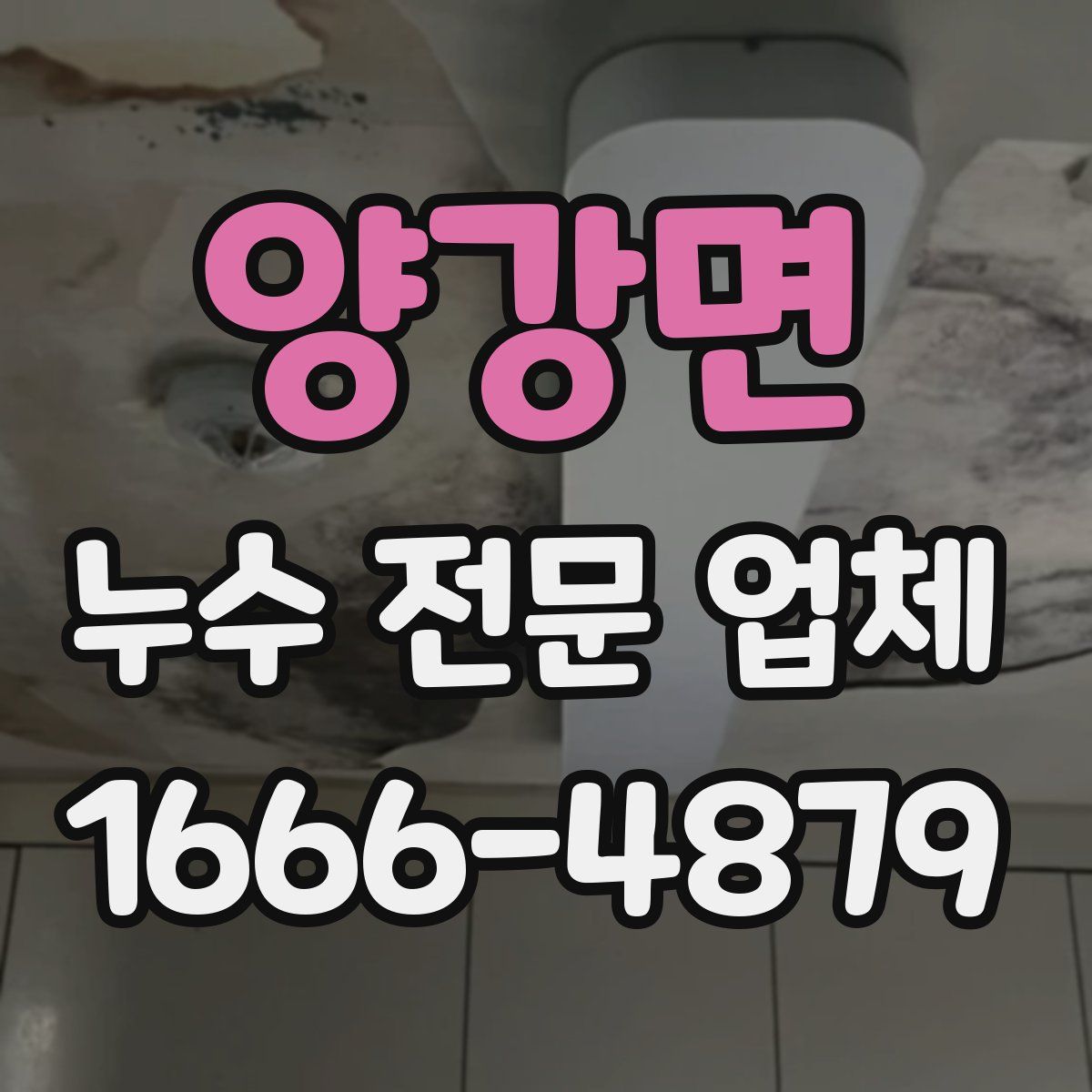 양강면 누수 전문 업체