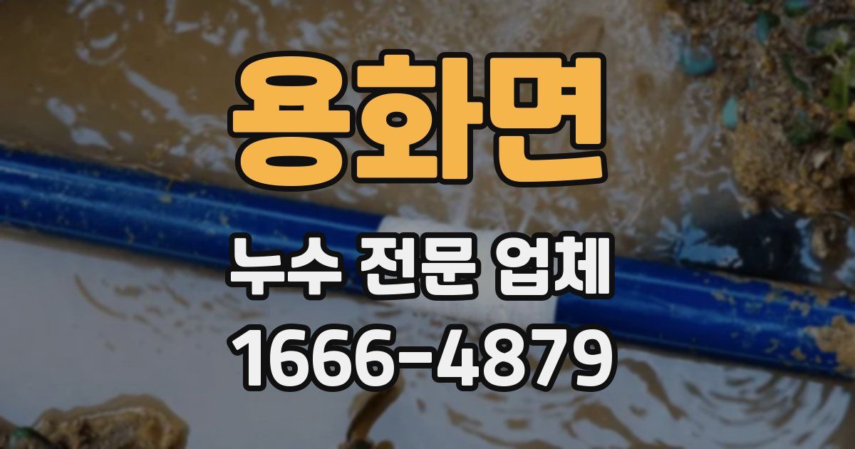 용화면 누수 전문 업체