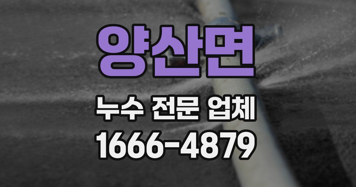양산면 누수 전문 업체