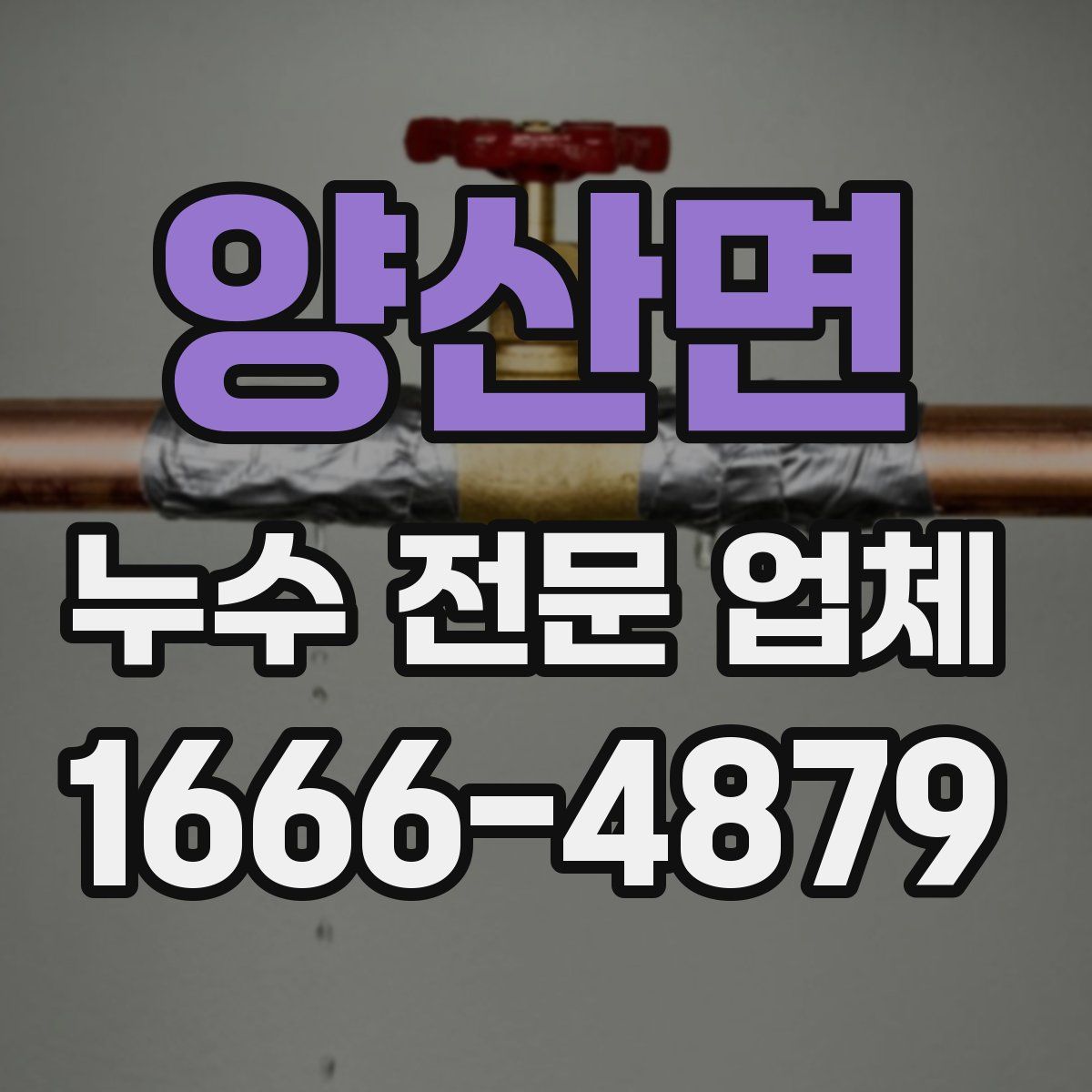 양산면 누수 전문 업체