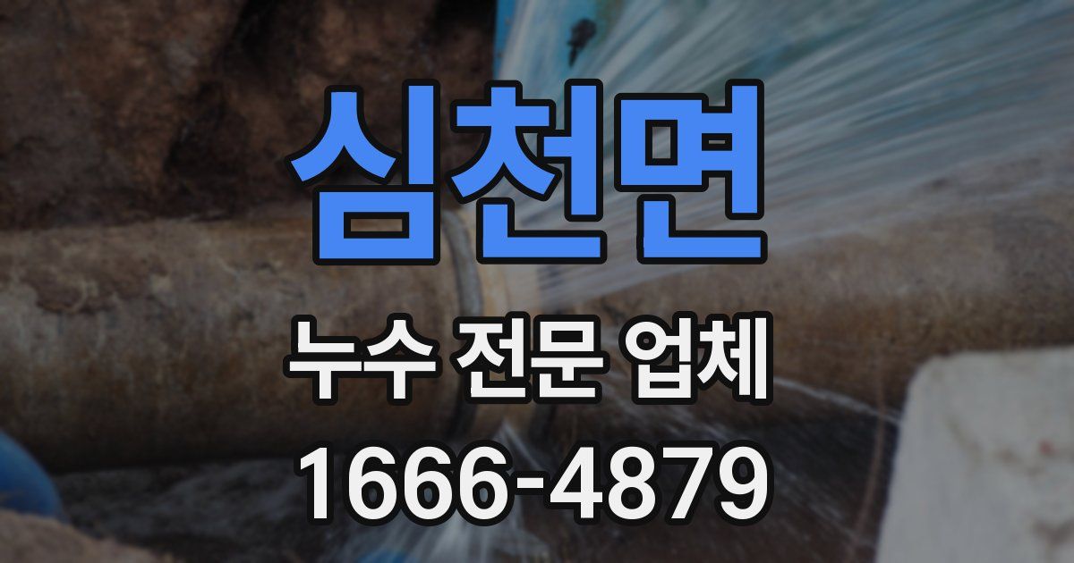 심천면 누수 전문 업체