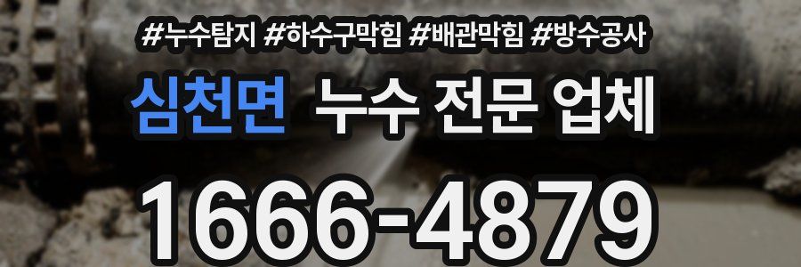 심천면 누수 전문 업체