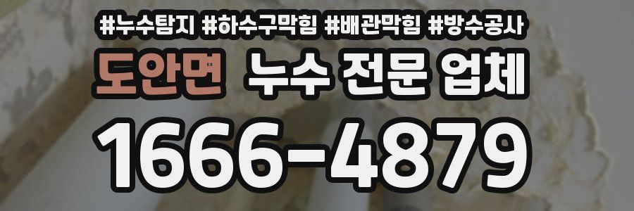 도안면 누수 전문 업체