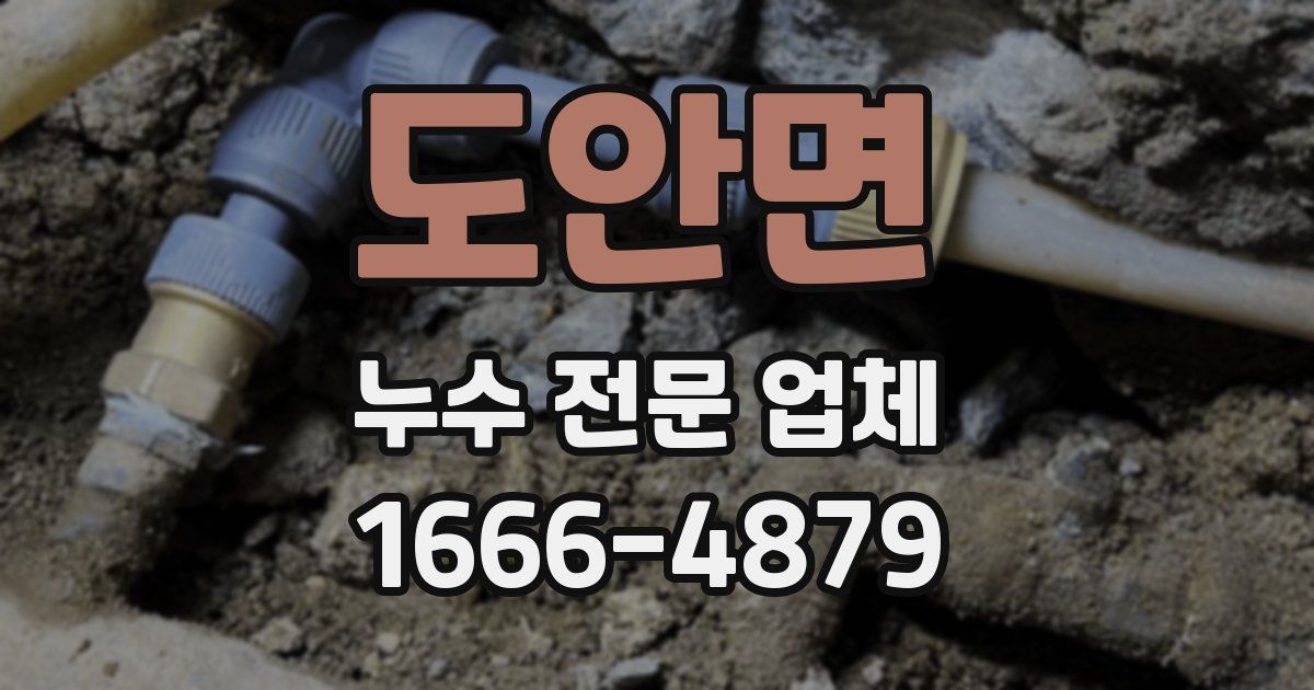 도안면 누수 전문 업체