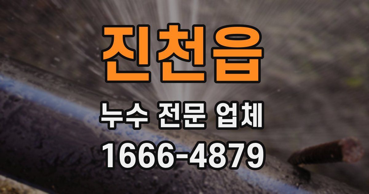 진천읍 누수 전문 업체