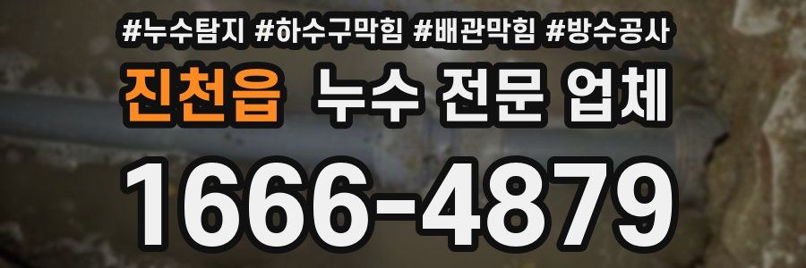 진천읍 누수 전문 업체