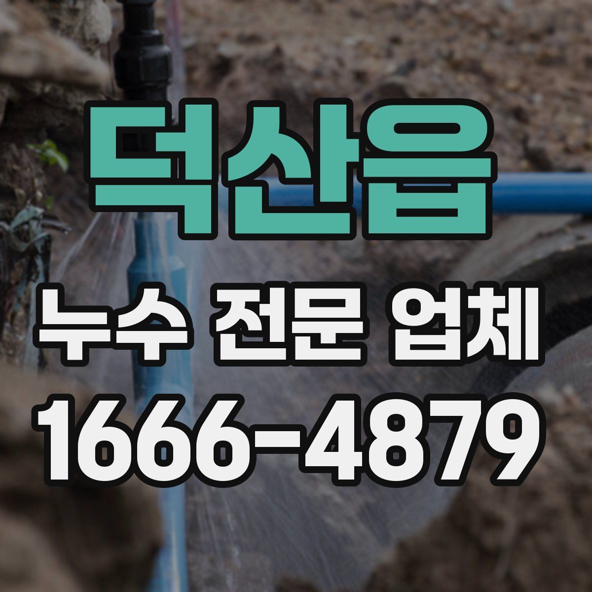 덕산읍 누수 전문 업체
