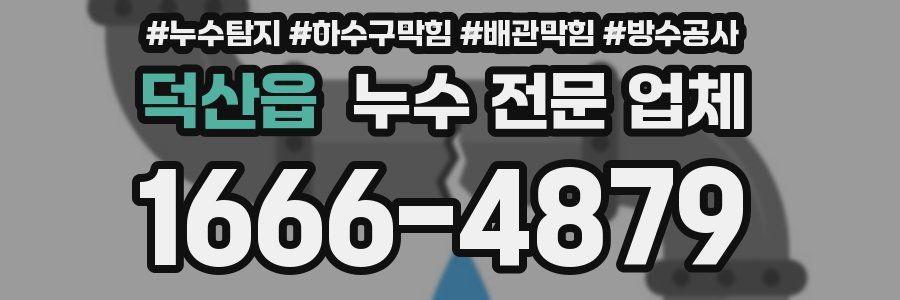 덕산읍 누수 전문 업체