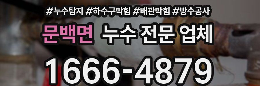 문백면 누수 전문 업체