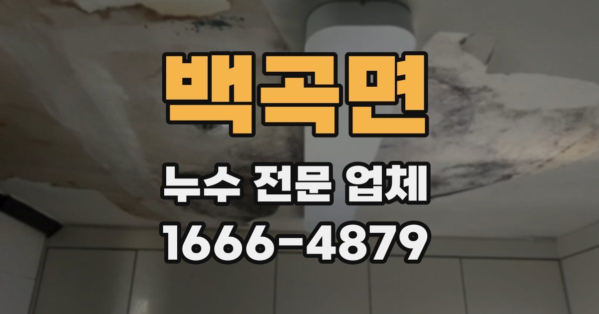 백곡면 누수 전문 업체