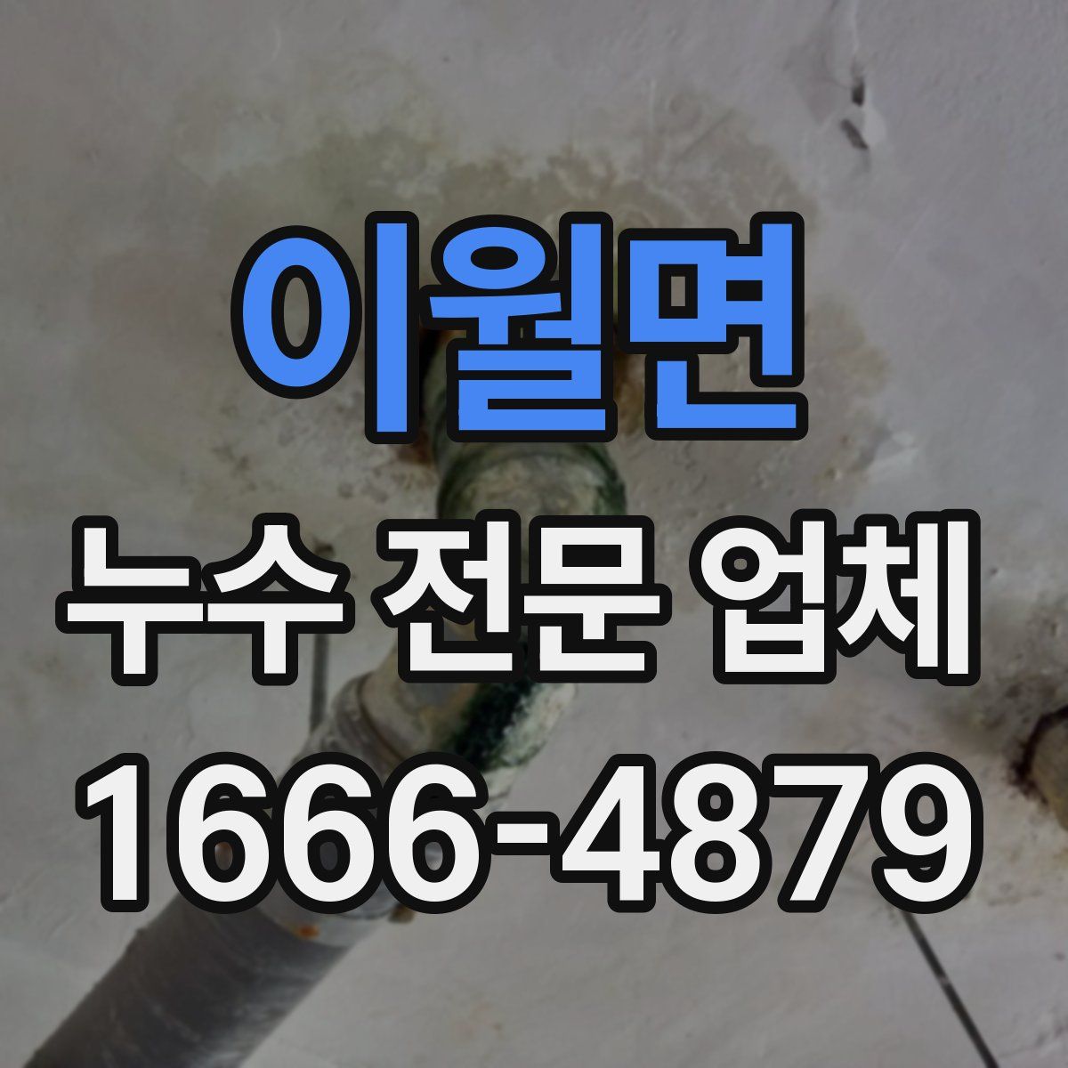 이월면 누수 전문 업체