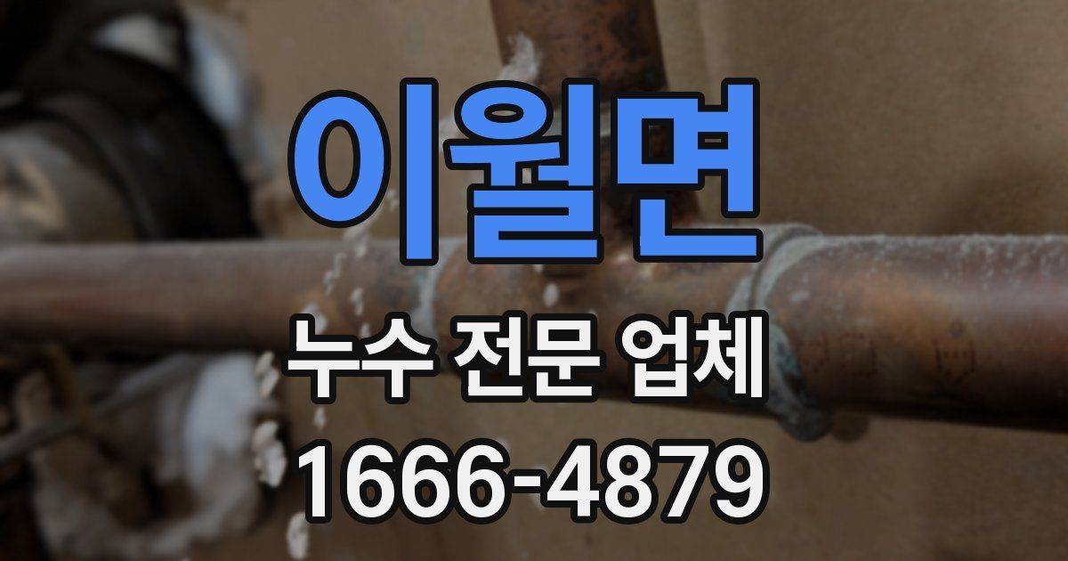이월면 누수 전문 업체