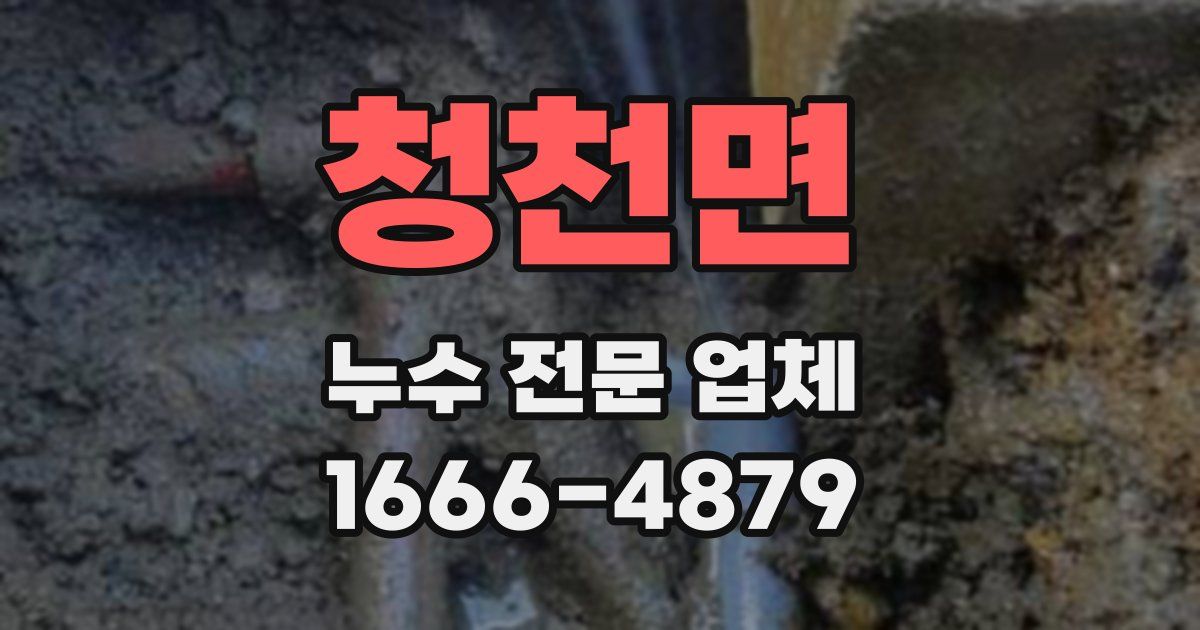 청천면 누수 전문 업체