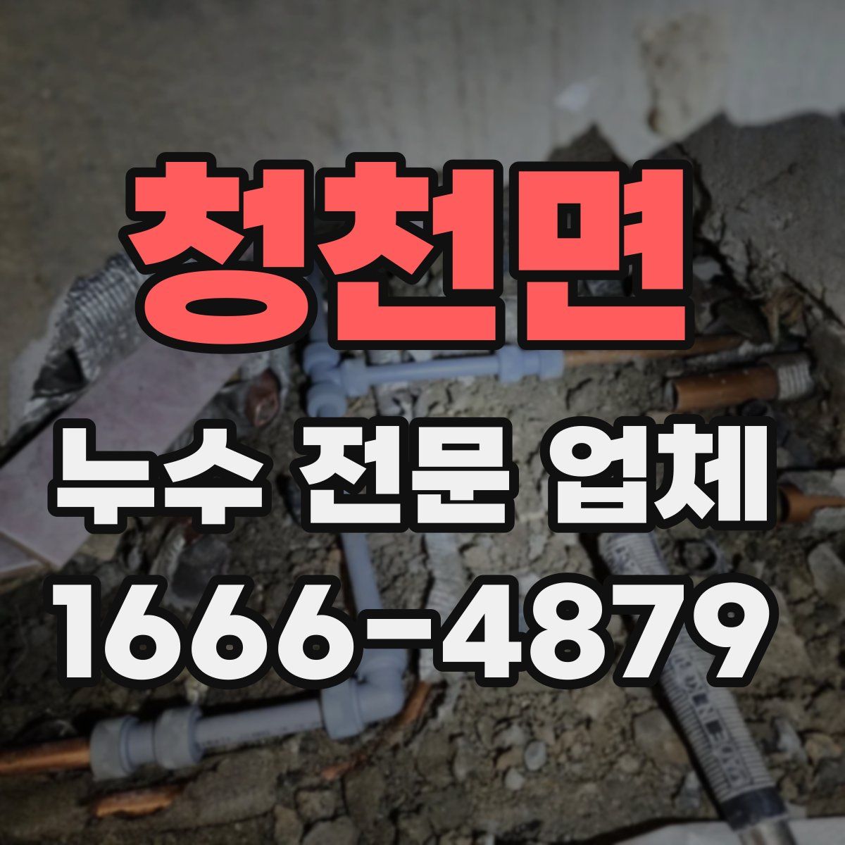 청천면 누수 전문 업체