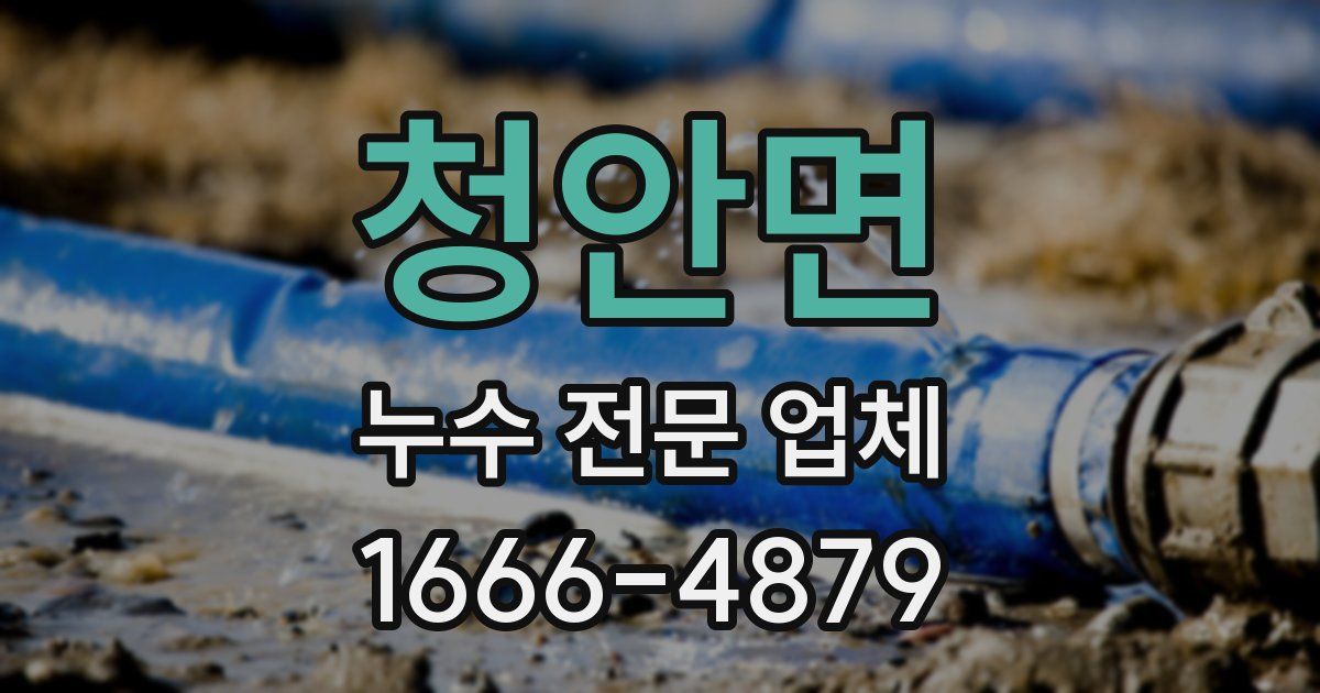 청안면 누수 전문 업체