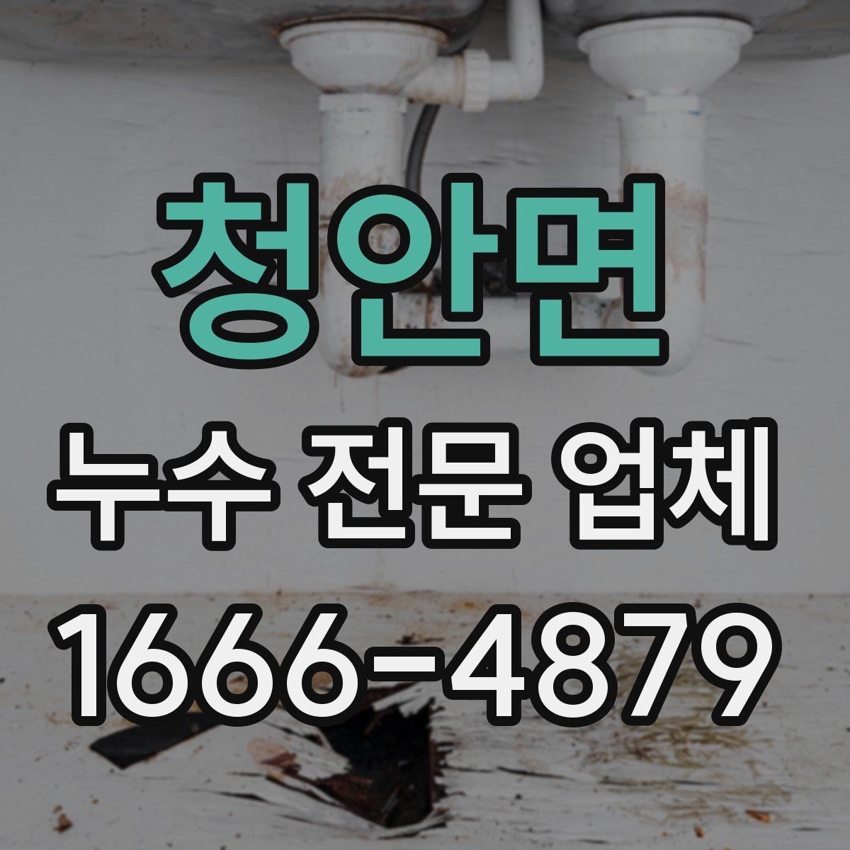 청안면 누수 전문 업체