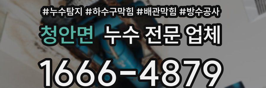 청안면 누수 전문 업체