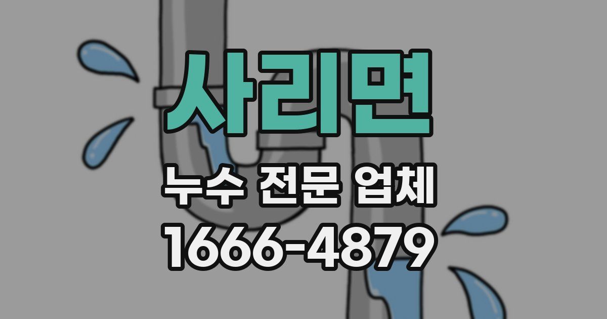 사리면 누수 전문 업체