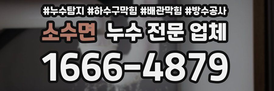소수면 누수 전문 업체