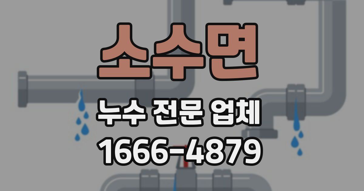 소수면 누수 전문 업체