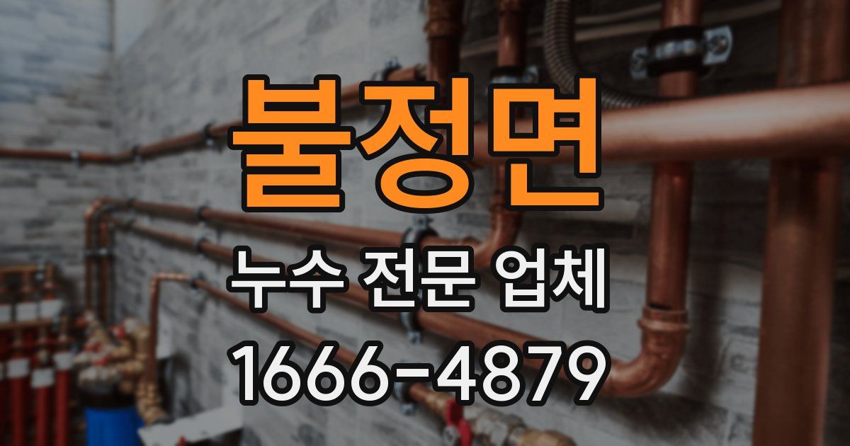 불정면 누수 전문 업체