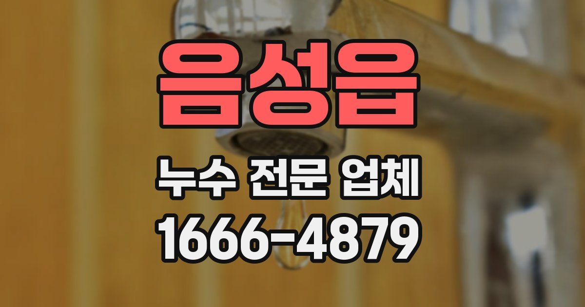 음성읍 누수 전문 업체