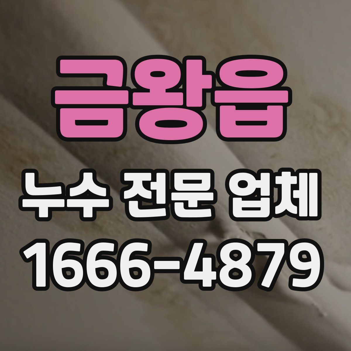 금왕읍 누수 전문 업체