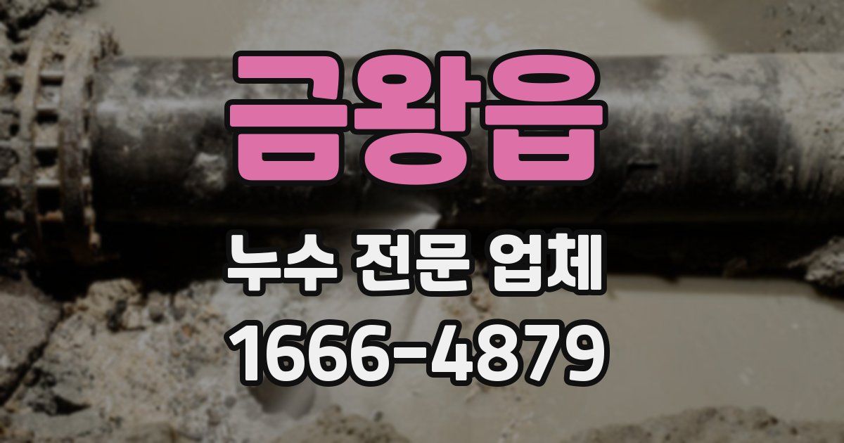 금왕읍 누수 전문 업체