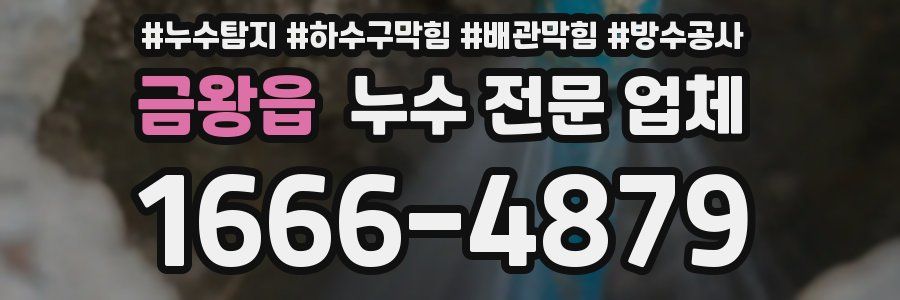 금왕읍 누수 전문 업체