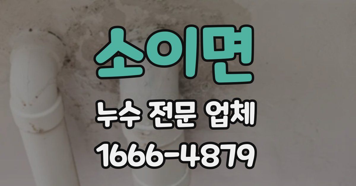 소이면 누수 전문 업체
