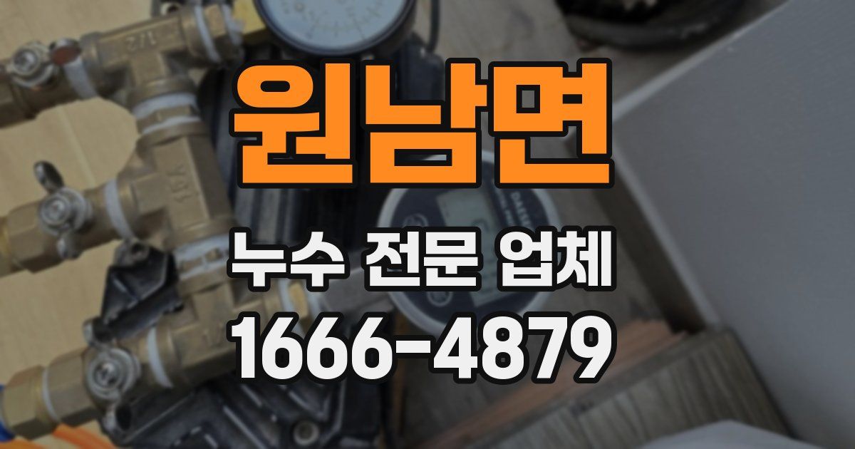 원남면 누수 전문 업체