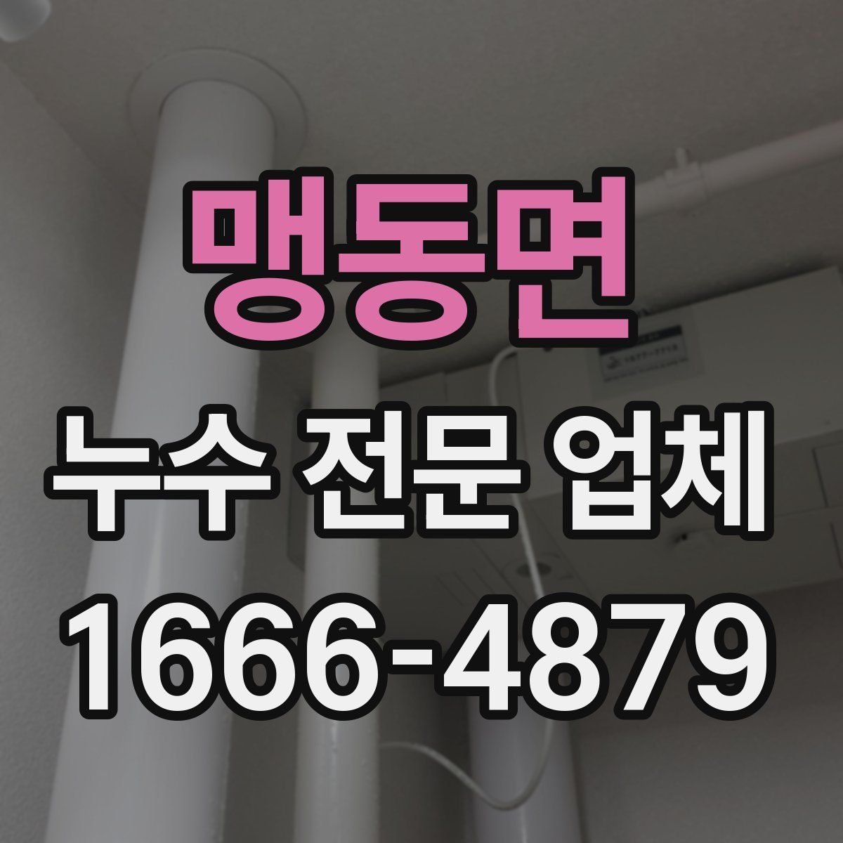 맹동면 누수 전문 업체