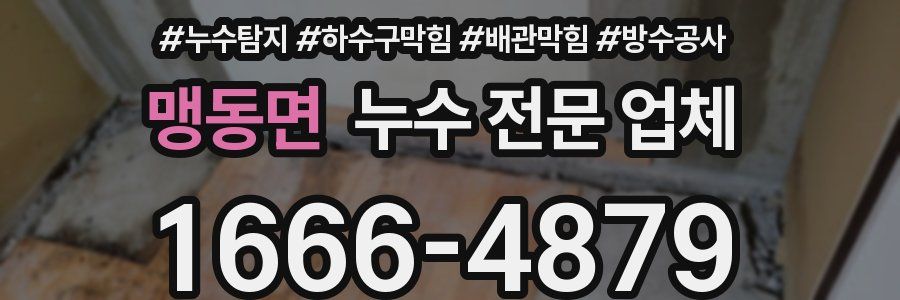 맹동면 누수 전문 업체