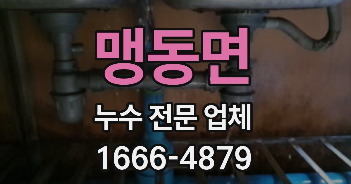 맹동면 누수 전문 업체