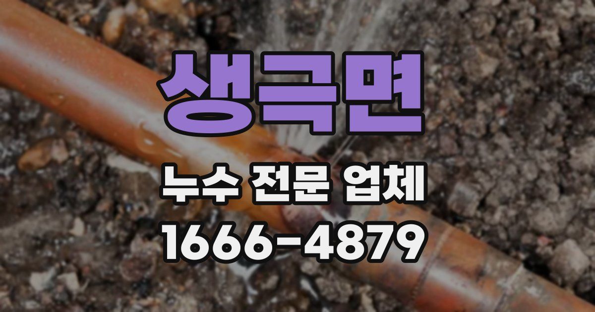 생극면 누수 전문 업체