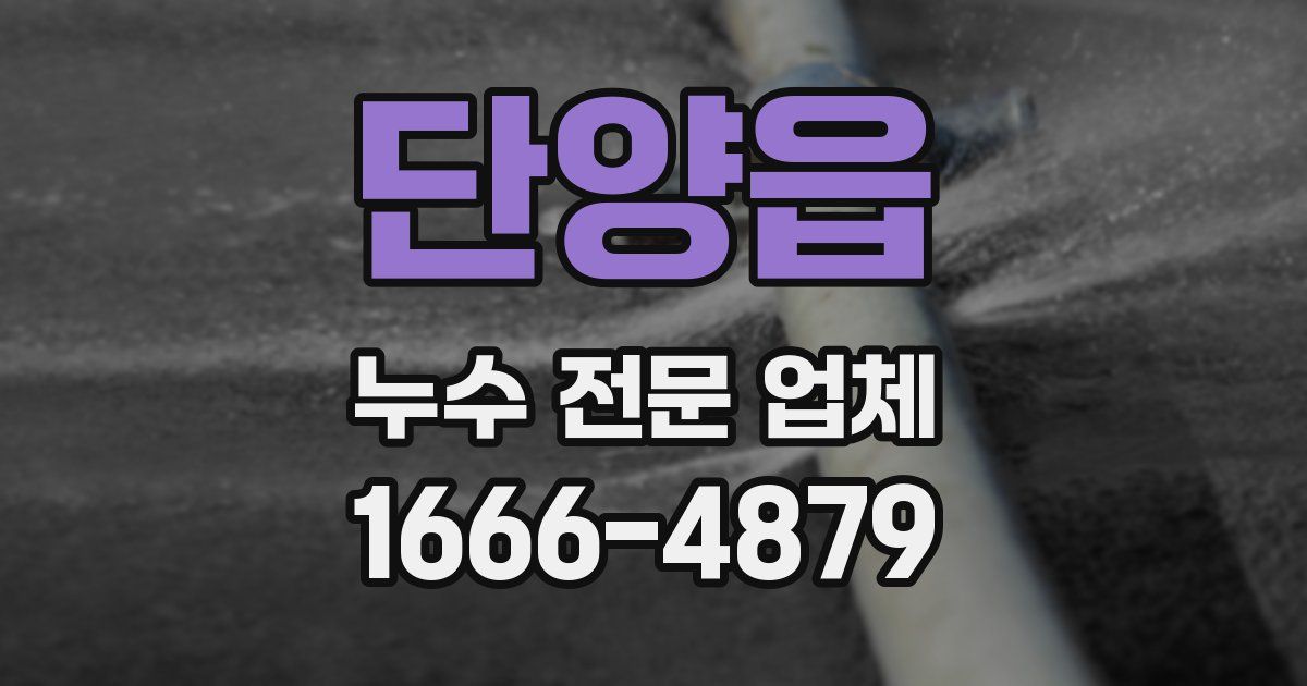 단양읍 누수 전문 업체