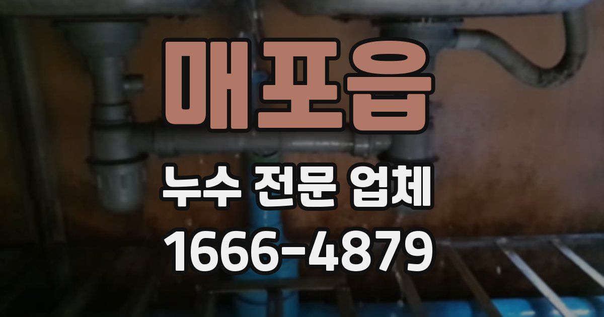 매포읍 누수 전문 업체