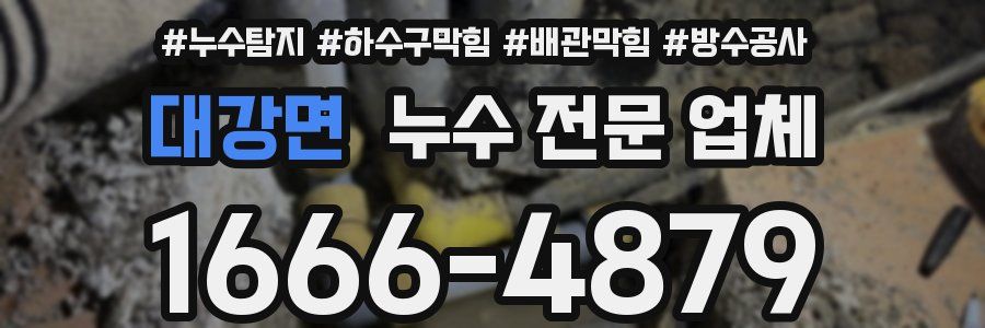 대강면 누수 전문 업체