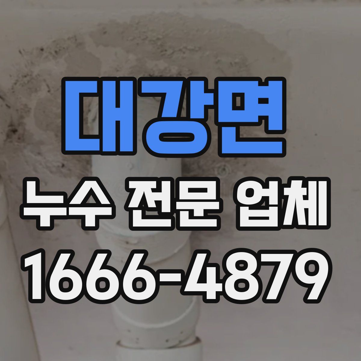 대강면 누수 전문 업체