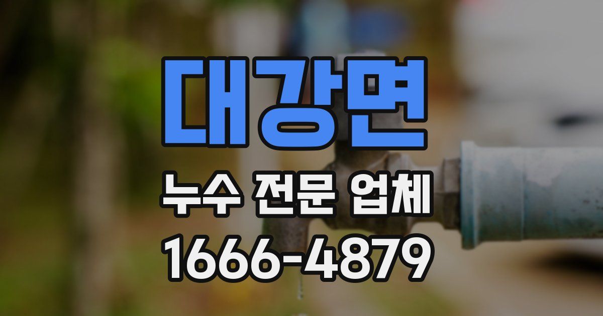 대강면 누수 전문 업체