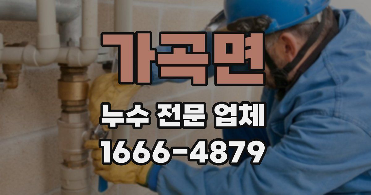 가곡면 누수 전문 업체