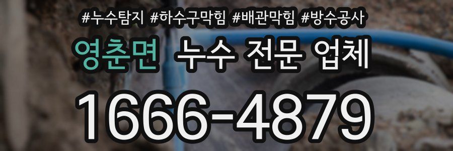 영춘면 누수 전문 업체