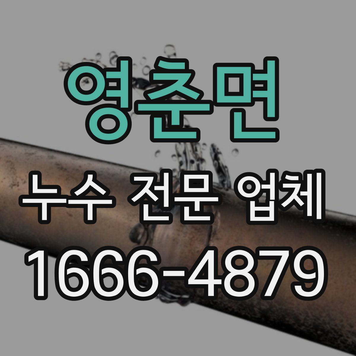 영춘면 누수 전문 업체
