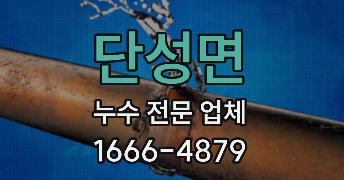 단성면 누수 전문 업체