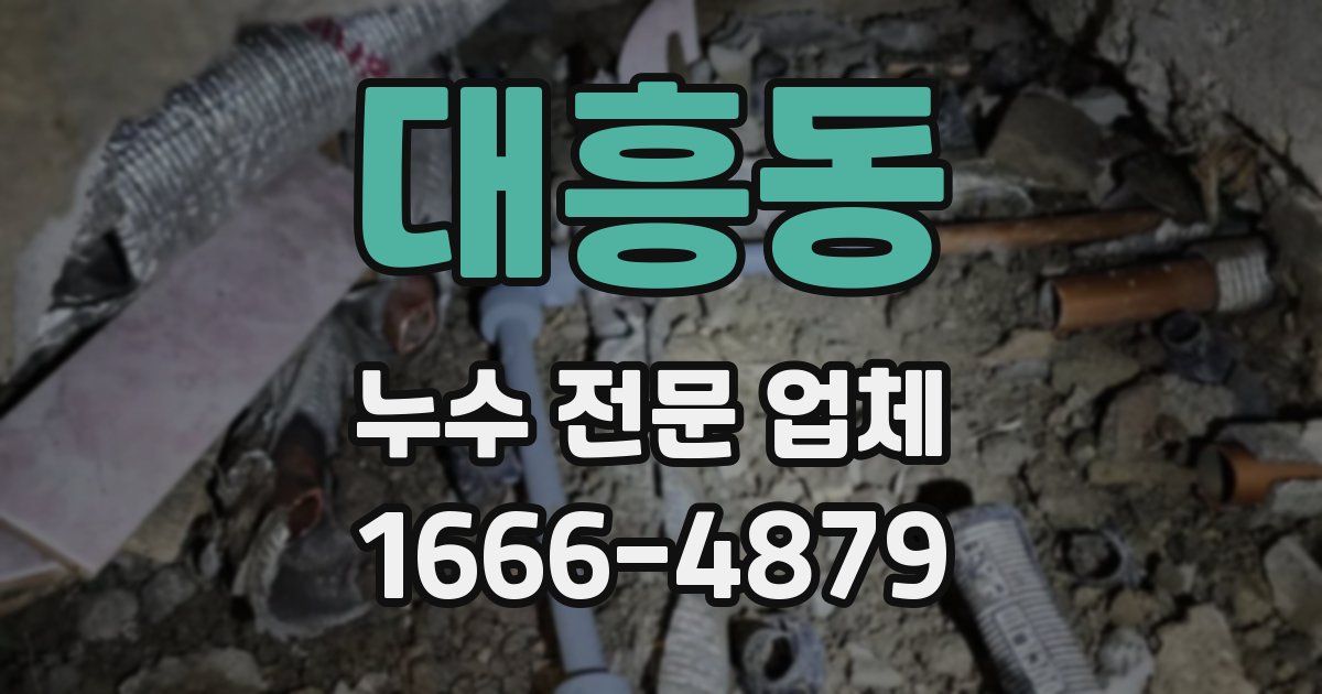 대흥동 누수 전문 업체