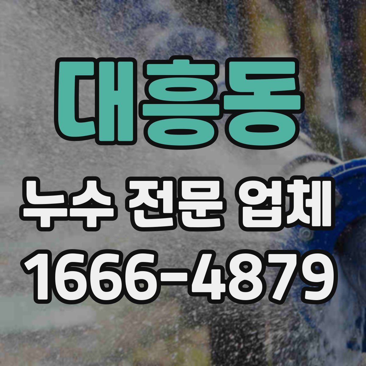 대흥동 누수 전문 업체